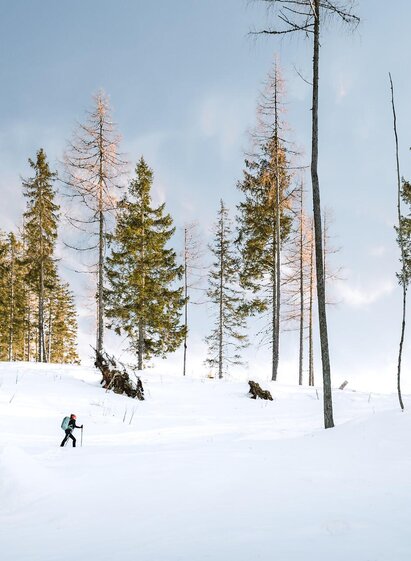 Schneeschuhwandern I Gesäuse I Steiermark | © TV Gesäuse | Christoph Lukas | © TV Gesäuse