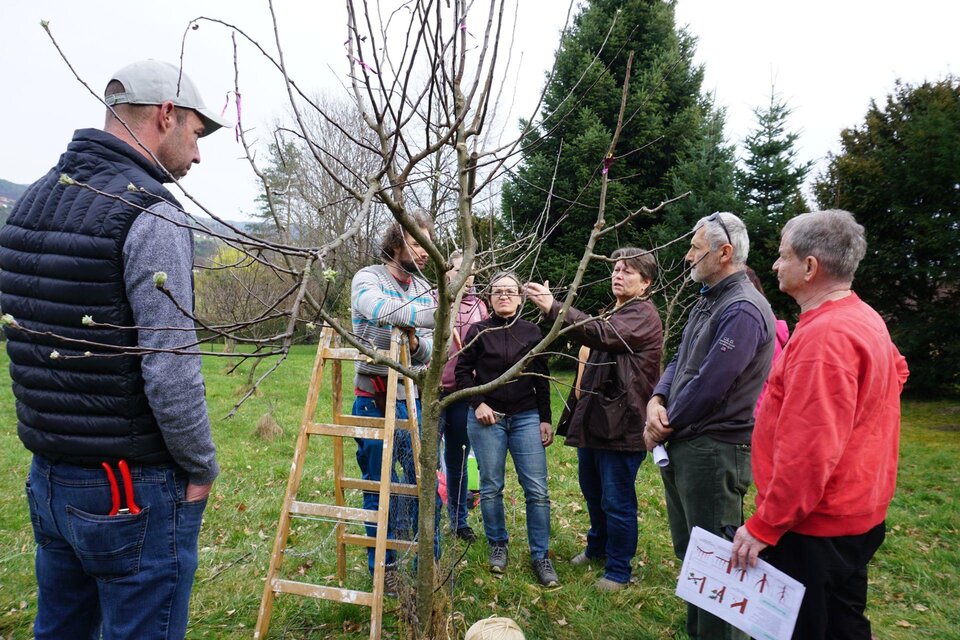 Eine Gruppe von Menschen steht um einen kleinen Baum, während jemand zeigt, wie man ihn beschneidet. Im Hintergrund sind einige Tannenbäume und eine grüne Wiese zu sehen. | © Marktgemeinde Pöllau