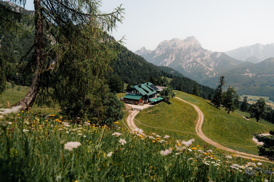 Eine malerische Landschaft mit grünen Wiesen und Bergen im Hintergrund. Im Vordergrund steht ein Bauernhaus, umgeben von blühenden Blumen. | © Christoph Lukas