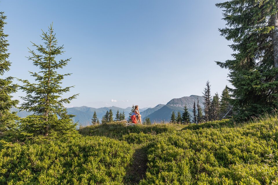 Eine Person sitzt auf einer grünen Wiese in den Bergen. Umgeben von hohen Tannen und einem klaren Himmel im Hintergrund.