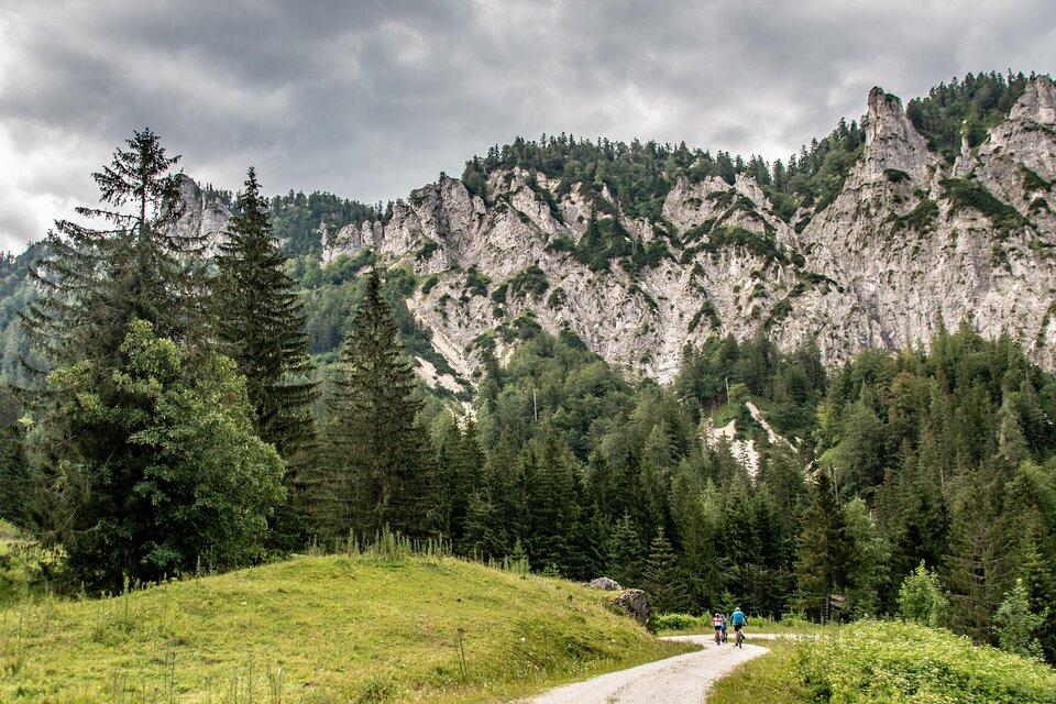 Eine malerische Landschaft mit hohen Bergen und dichten Wäldern. Auf dem Weg sind zwei Personen in der Natur unterwegs. | © TV Gesäuse