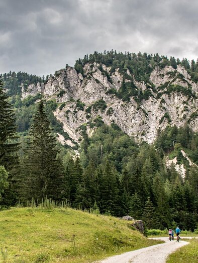 Eine malerische Landschaft mit hohen Bergen und dichten Wäldern. Auf dem Weg sind zwei Personen in der Natur unterwegs. | © TV Gesäuse