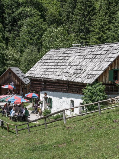A cozy mountain cabin with a striped roof and colorful sun umbrellas. The surroundings are green and surrounded by trees. | © Andreas Hollinger