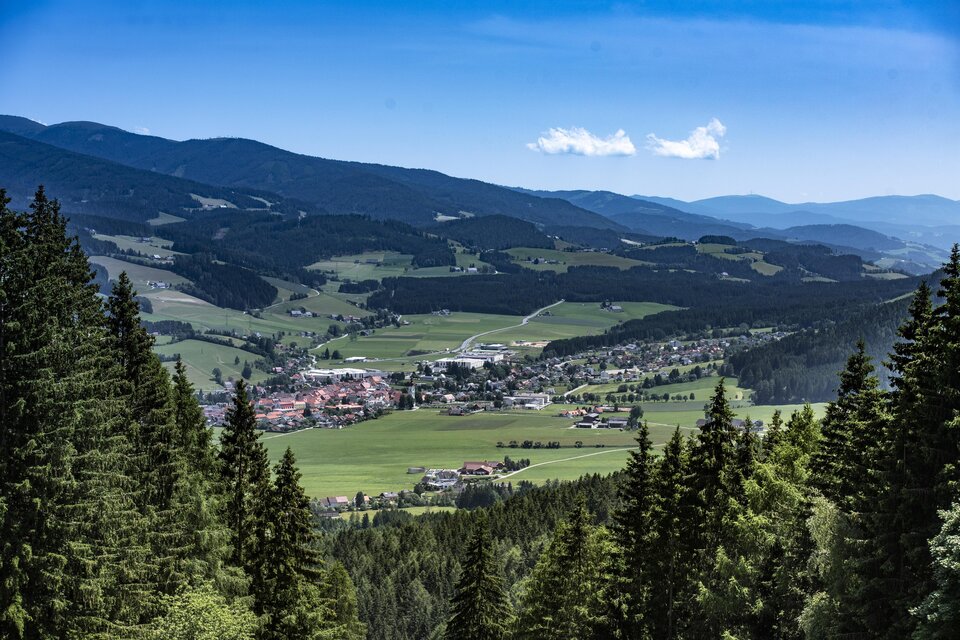 Eine malerische Aussicht auf grüne Wiesen und Berge. Im Vordergrund stehen dichte Wälder mit einem kleinen Dorf in der Ferne. | © Anita Fössl