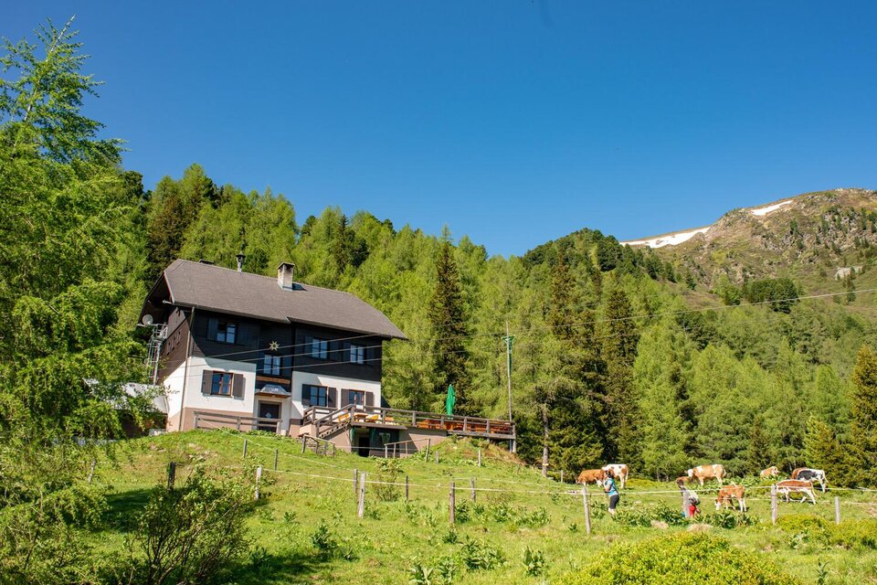 Ein malerisches Haus auf einem Hügel, umgeben von grünen Wäldern. Im Hintergrund sind Berge sichtbar, und Kühe grasen in der Nähe. | © Christian Scheucher