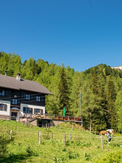 Ein malerisches Haus auf einem Hügel, umgeben von grünen Wäldern. Im Hintergrund sind Berge sichtbar, und Kühe grasen in der Nähe. | © Christian Scheucher