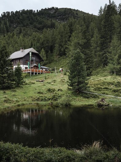A picturesque house on a hill, surrounded by green forests. In the background, mountains are visible, and cows are grazing nearby. | © TV Gesäuse
