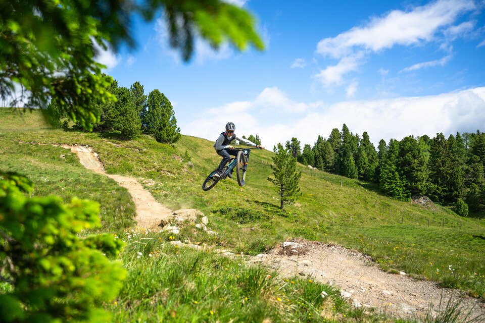 Ein Radfahrer springt über einen Hügel auf einer grünen Wiese. Die Umgebung ist von Bäumen und blauem Himmel umgeben.