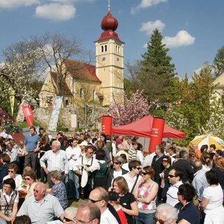 Blossom_Festival_Eastern Styria | © Tourismusverband Oststeiermark/Walter Schneider