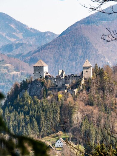 Burg Gallenstein | © Christian Scheucher |   | © Christian Scheucher