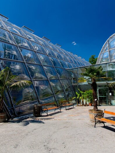 Ein modernes Gewächshaus mit großen Glasflächen. Draußen sind Palmen und eine einladende Sitzgelegenheit zu sehen. | © Graz Tourismus-Harry Schiffer