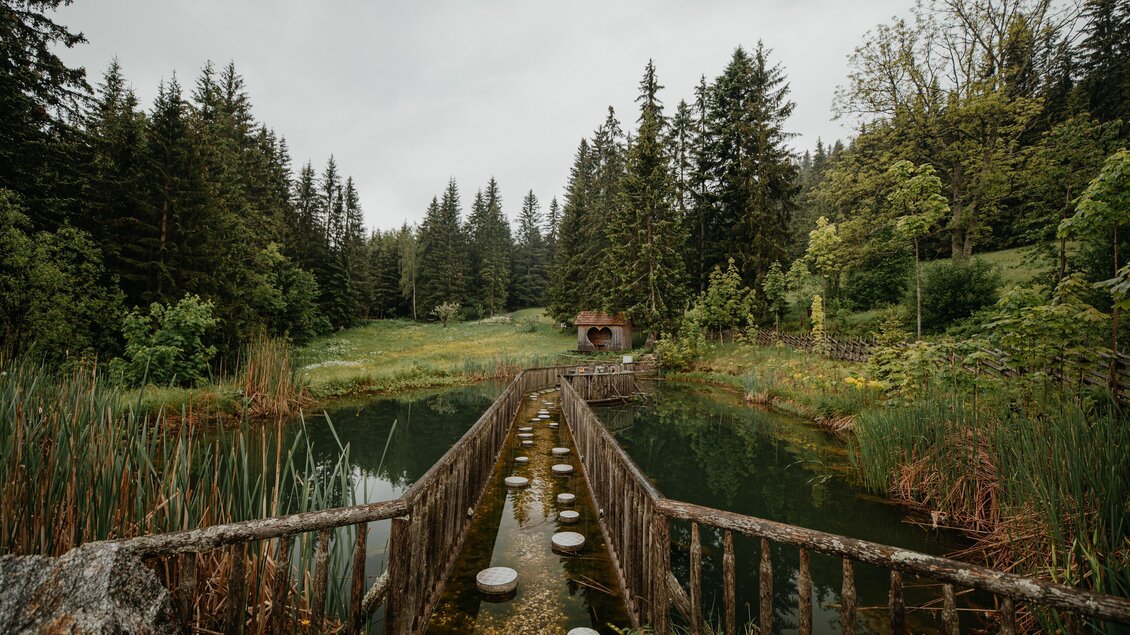 Ein ruhiger Teich umgeben von dichtem Wald und üppiger Vegetation. Ein Holzsteg führt über das Wasser und lädt zu einem Spaziergang in der Natur ein.