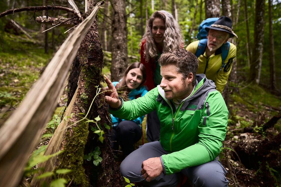 Buch dir deinen Guide im Nationalpark Gesäuse