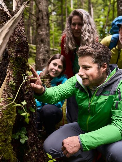 Buch dir deinen Guide im Nationalpark Gesäuse