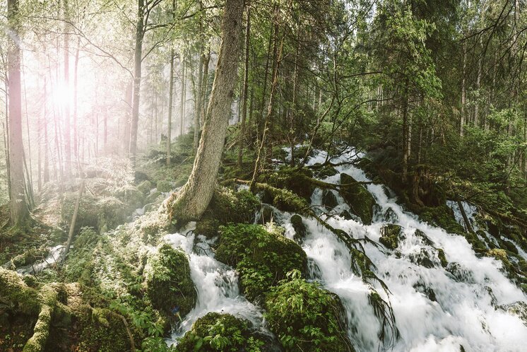 Im Natur- und Geopark Steirische Eisenwurzen | © stefanleitner.com | Stefan Leitner