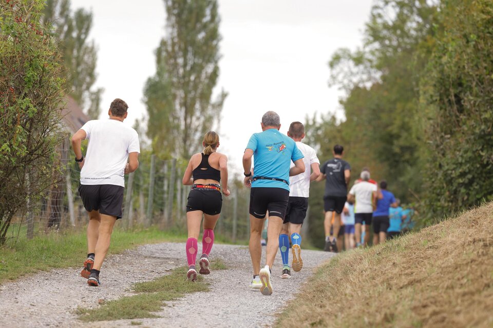 Eine Gruppe von Läufern joggt einen Schotterweg entlang. Bäume und Vegetation umgeben die Strecke. | © Gemeinde Bad Loipersdorf