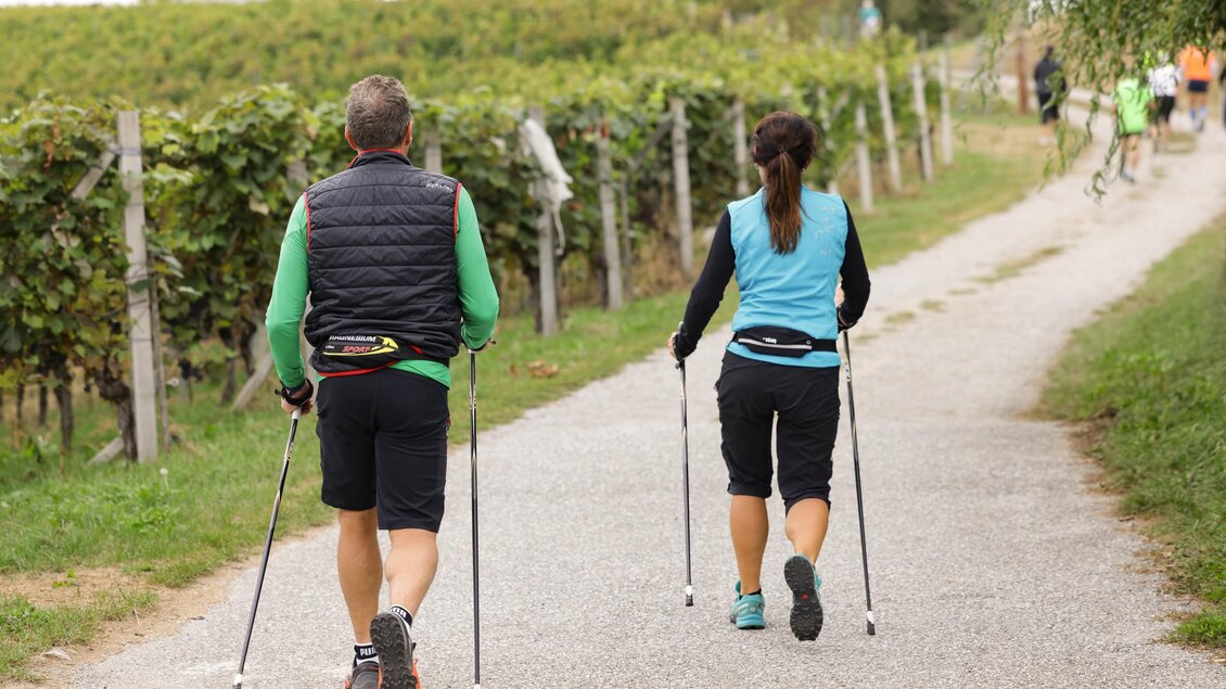 Zwei Menschen machen Nordic Walking auf einem Weg durch Weinberge. Im Hintergrund sind weitere Teilnehmer sichtbar. | © Gemeinde Bad Loipersdorf