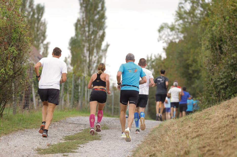 Es werden verschiedene Laufstrecken angeboten | © Gemeinde Bad Loipersdorf