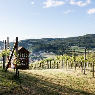 Wein am Berg | © Buschenschank und Weinhof SEIDL POIDL