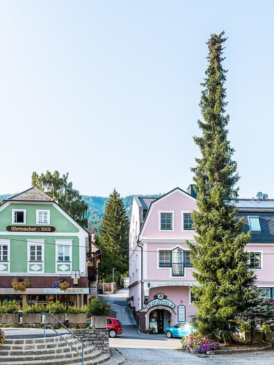 A picturesque street with colorful houses and a tall tree. The surroundings appear friendly and inviting. | © TV Gesäuse