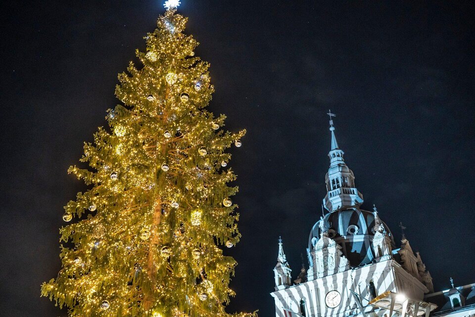 Ein festlich geschmückter Weihnachtsbaum leuchtet hell in der Nacht. Im Hintergrund ist ein beeindruckendes Gebäude mit einem hohen Turm zu sehen. | © Stadt Graz - Foto Fischer
