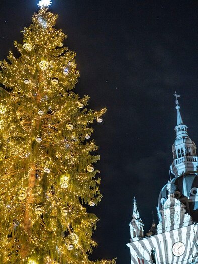 Ein festlich geschmückter Weihnachtsbaum leuchtet hell in der Nacht. Im Hintergrund ist ein beeindruckendes Gebäude mit einem hohen Turm zu sehen. | © Stadt Graz - Foto Fischer