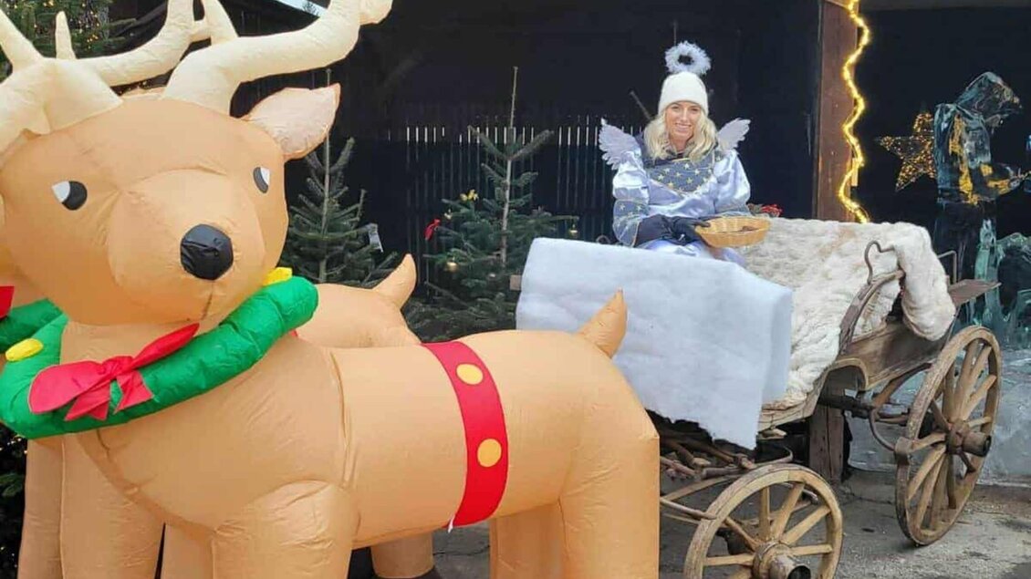 Frau als Christkind verkleidet sitzt in geschmücktem Wagen neben großem Rentier beim Da Finz in Mooskirchen. | © Da Finz