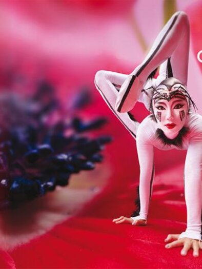 cirque-du-soleil | © cirque-du-soleil-ovo