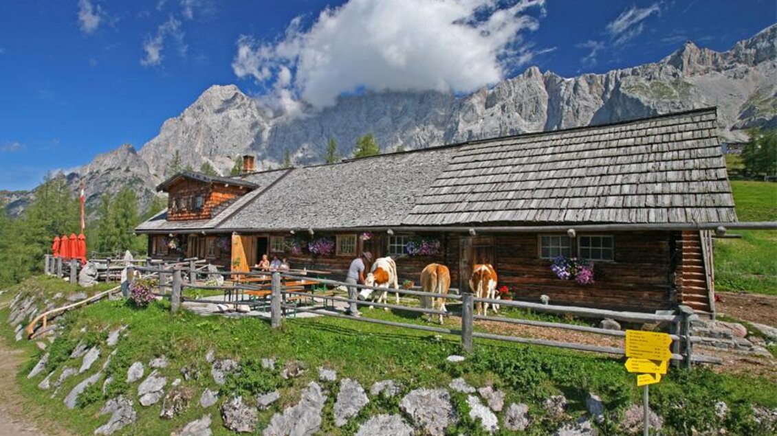 Eine rustikale Berghütte mit einem schönen Ausblick auf die Berge. Im Vordergrund sind Pferde und ein umzäunter Garten zu sehen. | © Raffalt