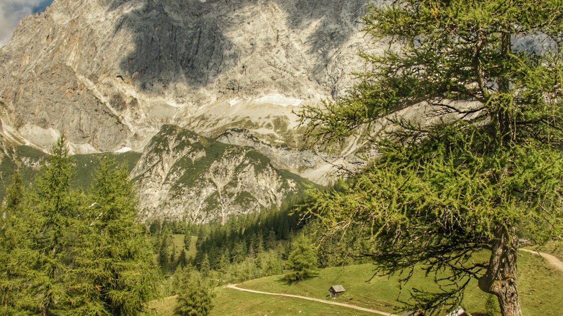 Eine malerische Berglandschaft mit hohen Bergen und grünem Gras. Im Vordergrund stehen traditionelle Holzhütten entlang eines schmalen Weges. | © Marlene Eggmayr