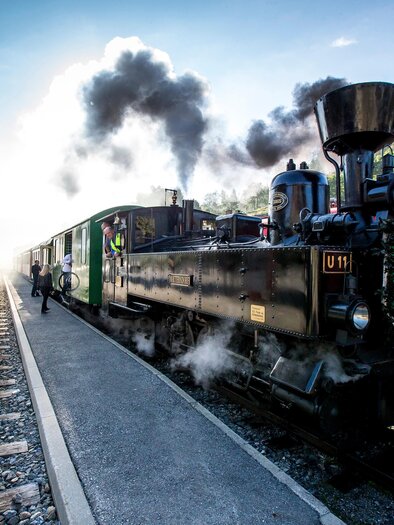 Eine Dampflok steht auf dem Bahnhof, Rauch steigt aus dem Schornstein auf. Im Hintergrund sind weitere Waggons und eine bewaldete Landschaft zu sehen.