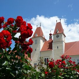 zu sehen ist das Chorherrenstift Vorau mit roten Rosen im Vordergrund. | © Manfred Glößl