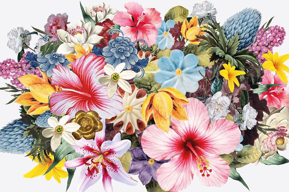 Ein buntes Blumenarrangement mit verschiedenen Arten von Blumen. Die Farben reichen von Pink über Blau bis Gelb und verleihen ein frisches, lebendiges Gefühl. | © grafprom