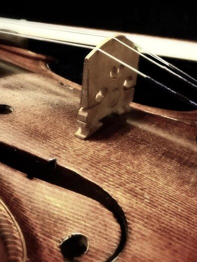 Eine nahaufgenommene Violine mit sichtbaren Saiten und einem gut sichtbaren Holzdesign. Die Details des Instruments zeigen handwerkliche Verarbeitung und Eleganz. | © pixabay