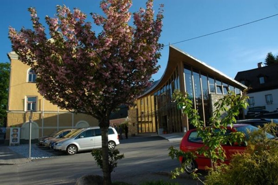 Ein modernes Gebäude mit großen Glasfenstern und einem schönen, blühenden Baum im Vordergrund. Die Straße ist begrünt und die Atmosphäre ist freundlich und einladend.