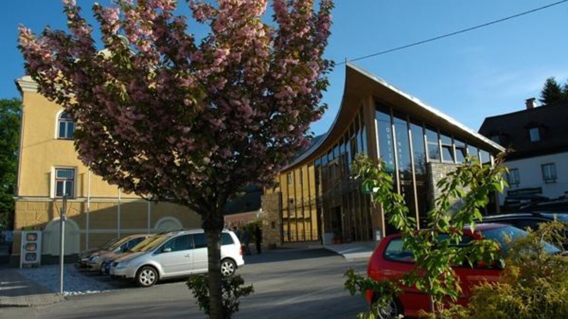 Ein modernes Gebäude mit großen Glasfenstern und einem schönen, blühenden Baum im Vordergrund. Die Straße ist begrünt und die Atmosphäre ist freundlich und einladend.