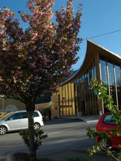 Ein modernes Gebäude mit großen Glasfenstern und einem schönen, blühenden Baum im Vordergrund. Die Straße ist begrünt und die Atmosphäre ist freundlich und einladend.