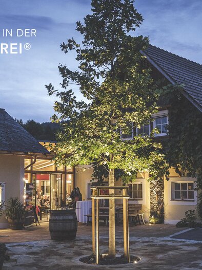 Ein einladendes Restaurant mit einem charmanten, hell erleuchteten Eingang. Zeitgemäße Architektur umgeben von grünem Baum und Garten. | © @Florian Jöbstl