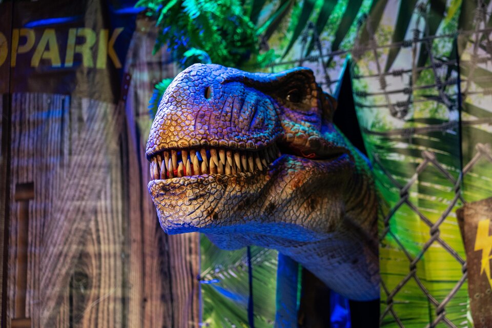 Dino-Murtal-Steiermark | © Attimo KG