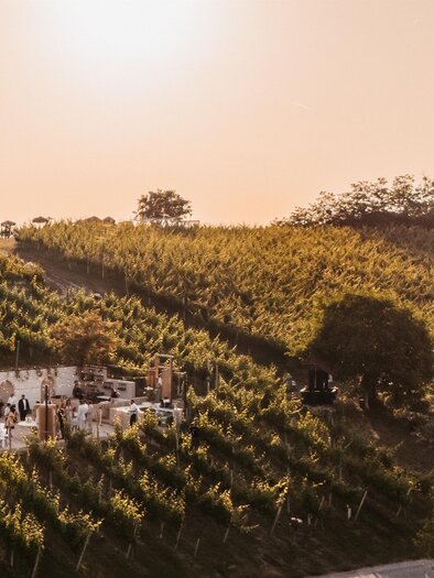 Eine malerische Weinlandschaft mit sanften Hügeln und üppigen Weinreben. Im Vordergrund steht eine stilvolle Weinveranstaltung bei Sonnenuntergang. | © Weinstadl & Weingut Holler
