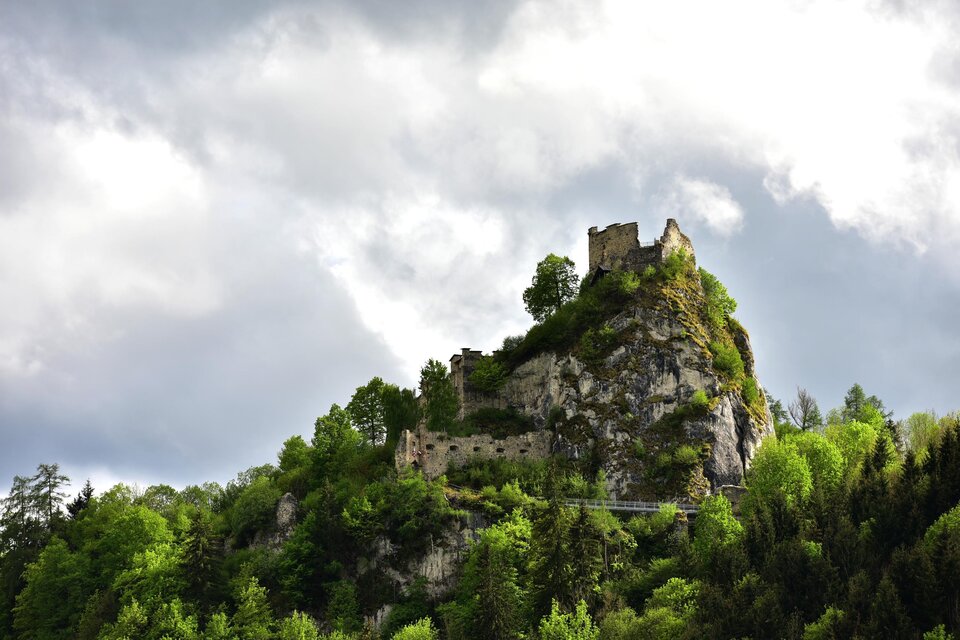 Ein majestätisches Reh grast in einem nebligen Wald. Im Hintergrund ist ein Hochstand zwischen hohen Bäumen zu sehen. | © Pixabay