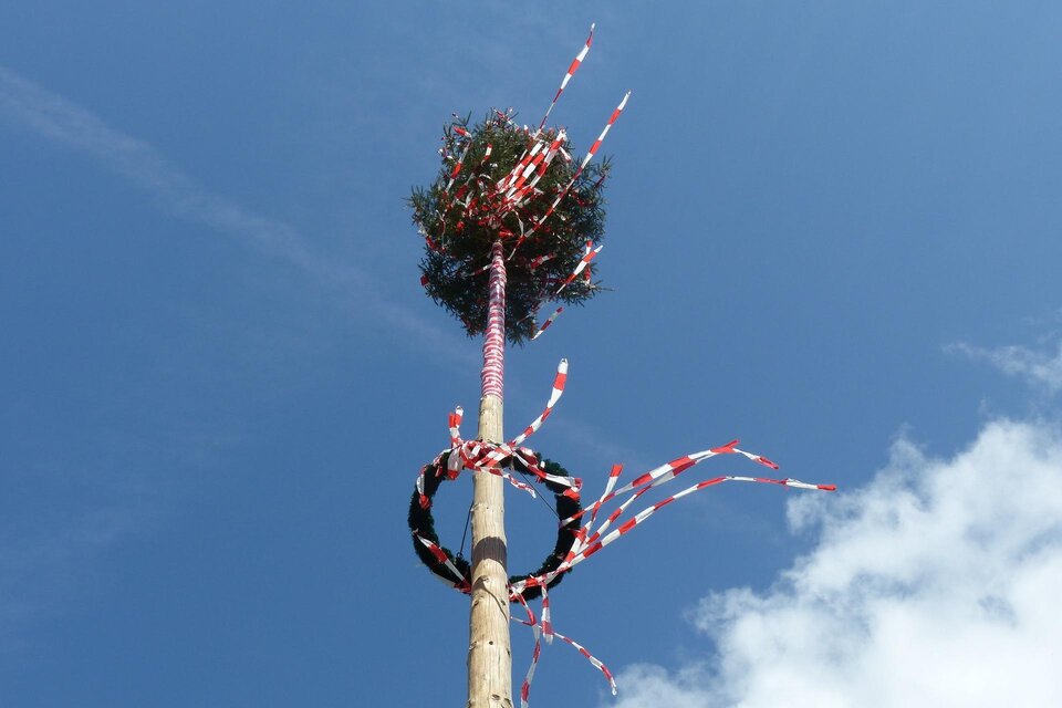 Ein festlich geschmückter Maibaum ragt in den blauen Himmel. Bunte Bänder wehen im Wind. | © Pixabay