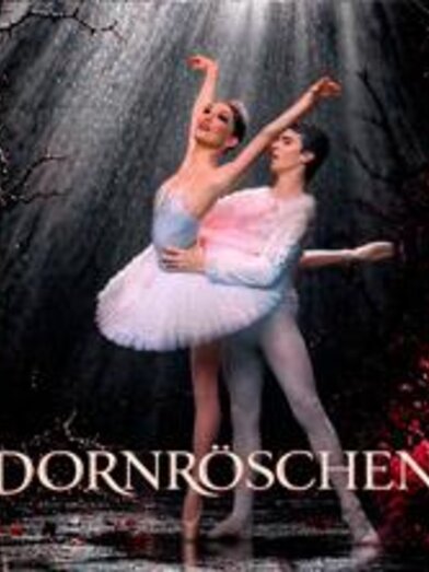 dornroeschen