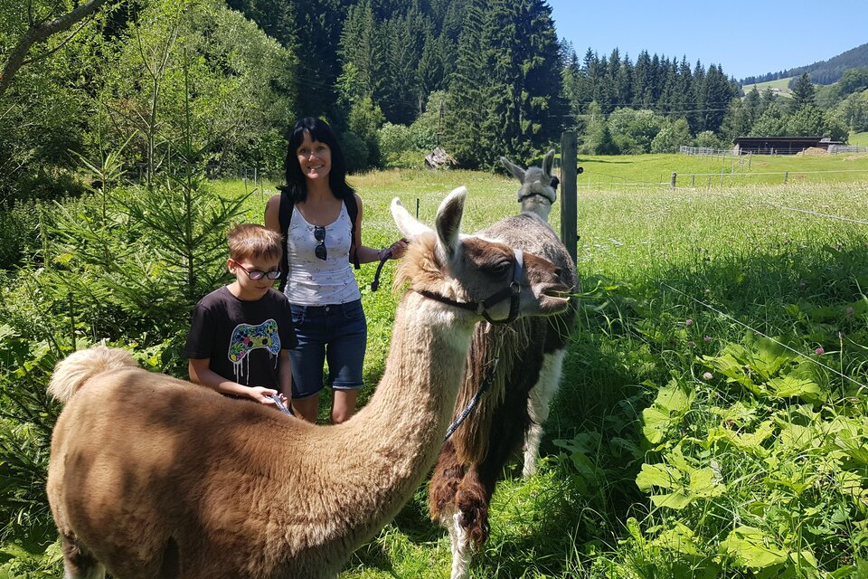 Lamawanderung mit Jugendlichen auf einem Feldweg mit zwei Lamas | © Lama-Touren auf der Alm-Orso-Gigleitner