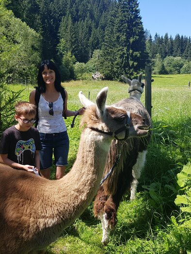 Lamawanderung mit Jugendlichen auf einem Feldweg mit zwei Lamas | © Lama-Touren auf der Alm-Orso-Gigleitner