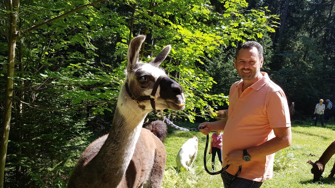 Das Lama Bruno mit Begleitung bei einer Wanderung. | © Lama-Touren auf der Alm