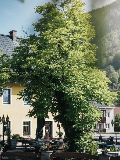Kirchenwirt Gams | © TV Gesäuse