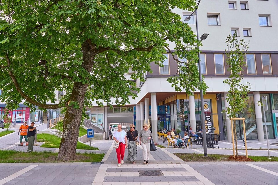 Eine belebte Straße mit einem großen Baum und modernen Gebäuden im Hintergrund. Menschen gehen auf dem gepflasterten Weg. | © Birgit Steinberger
