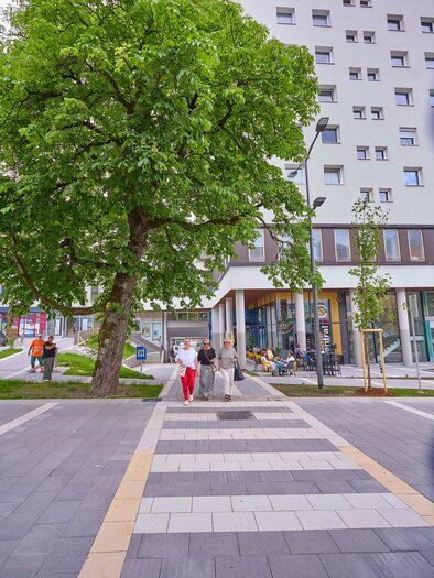 Eine belebte Straße mit einem großen Baum und modernen Gebäuden im Hintergrund. Menschen gehen auf dem gepflasterten Weg. | © Birgit Steinberger