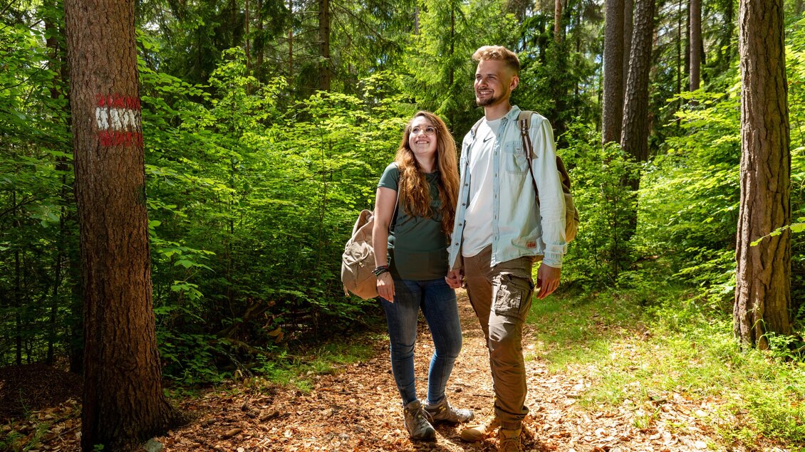 Pärchen am Wanderweg auf einer Waldlichtung im Sonnenschein | © Region Graz-Harry Schiffer
